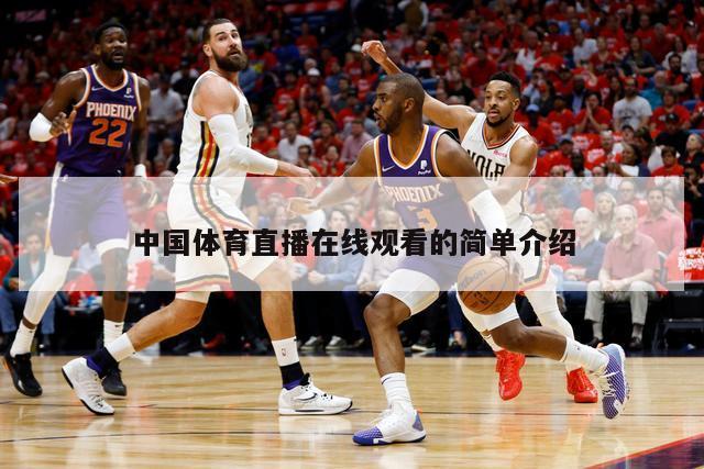 中国体育直播在线观看的简单介绍-第1张图片-经营科技_一个专注于足球和篮球的体育站
